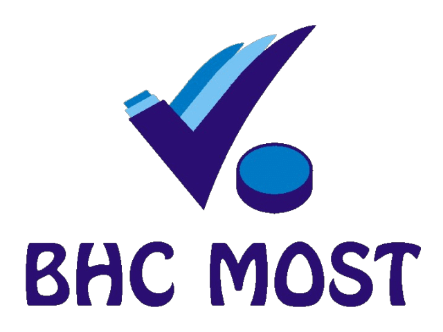 Přečtete si více ze článku BHC CorroTech Most